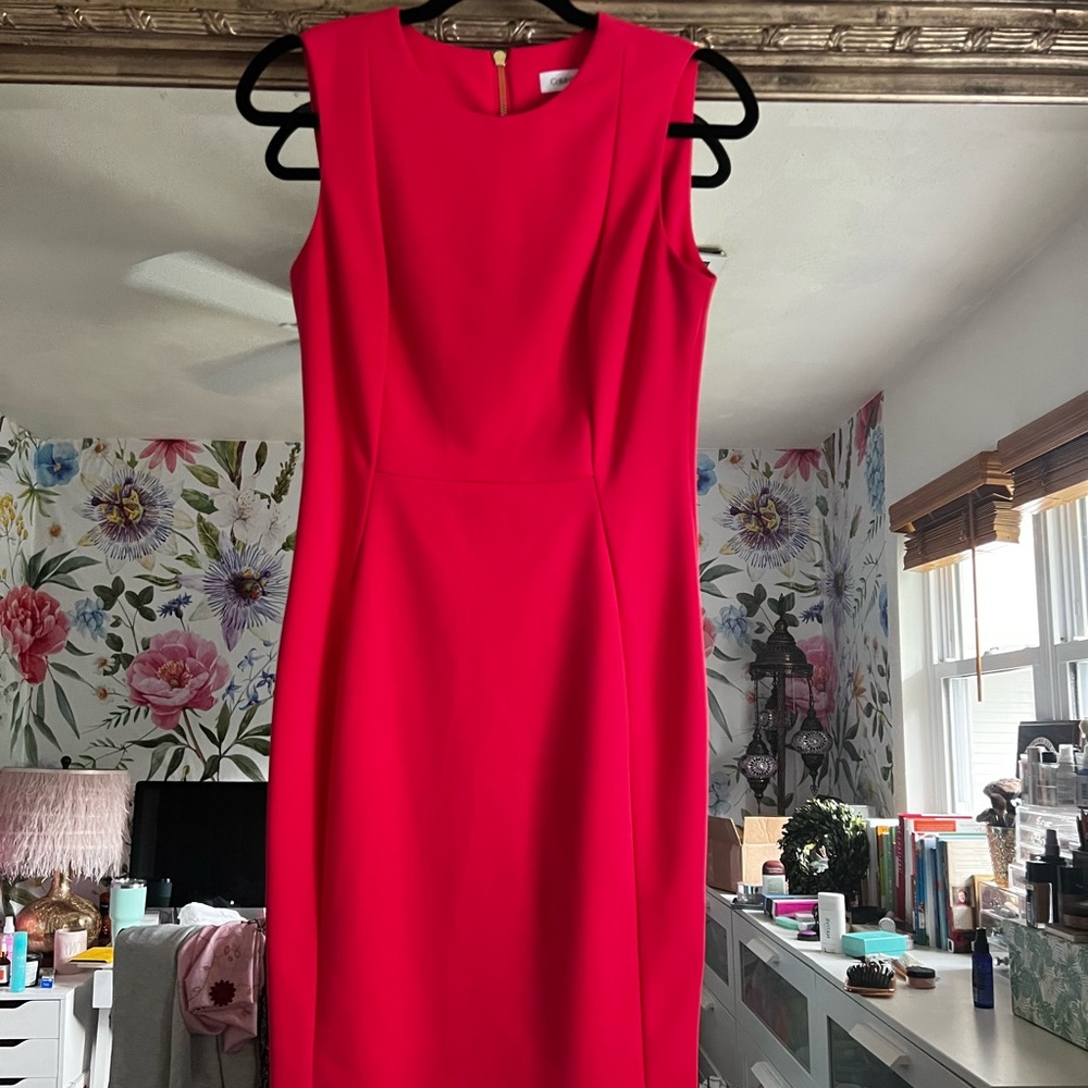 Calvin Klein Pink Dress